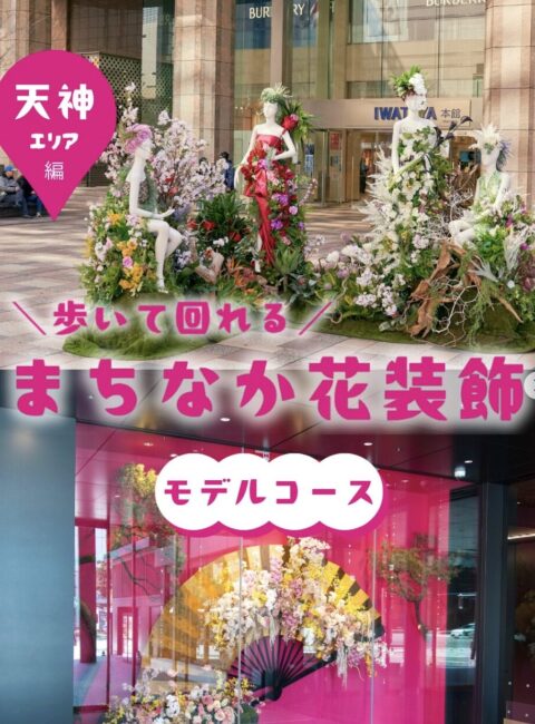 圖片源自 官方IG