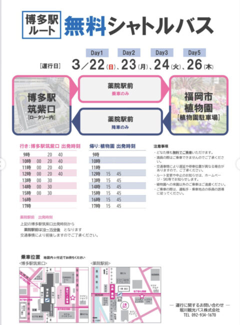 圖片源自官方IG