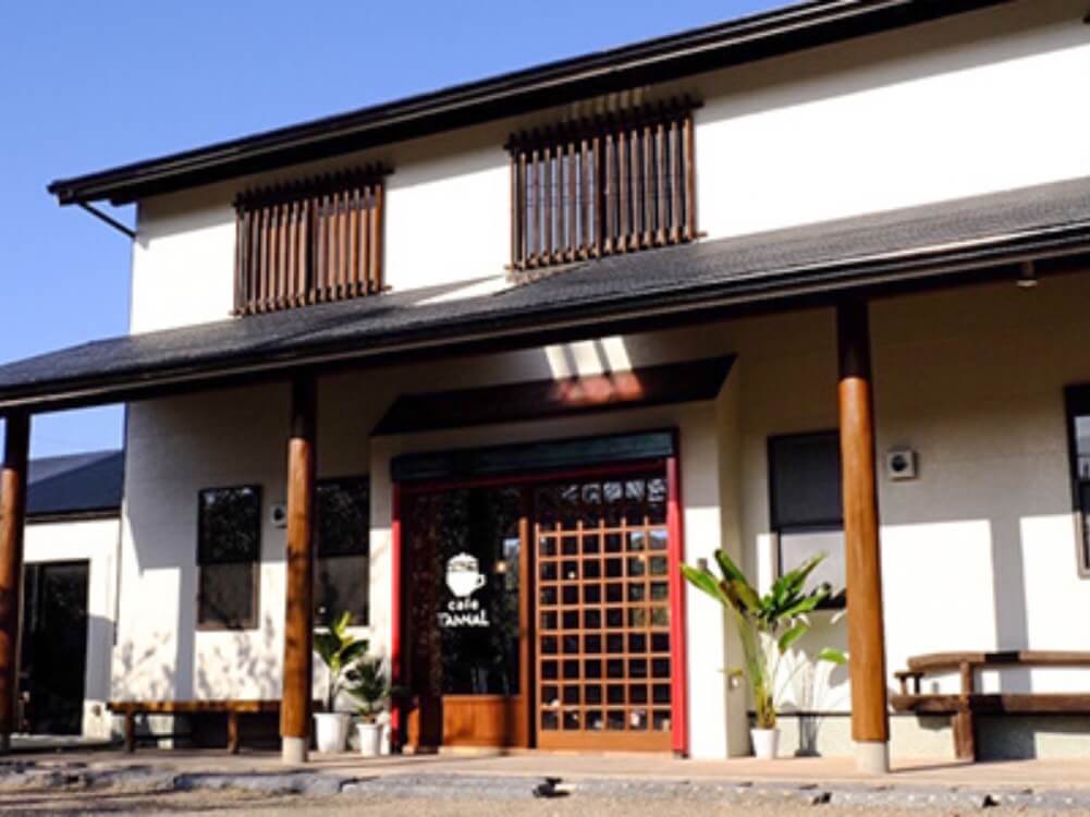 甘王草莓 福岡草莓