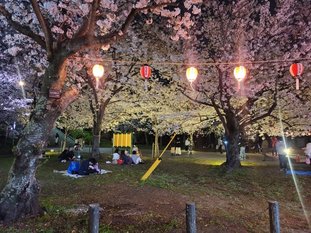 西公園